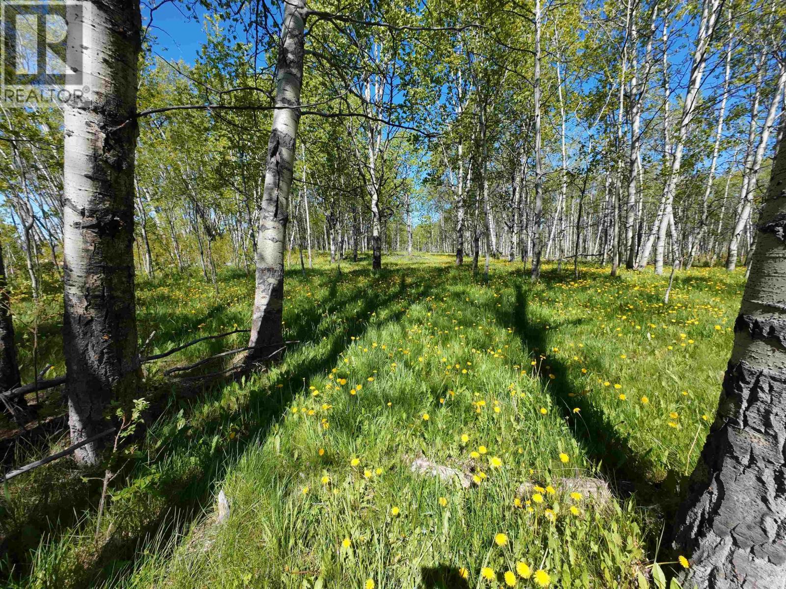 43083 Blackwell Road, Burns Lake, British Columbia  V0J 1E4 - Photo 16 - R3130536