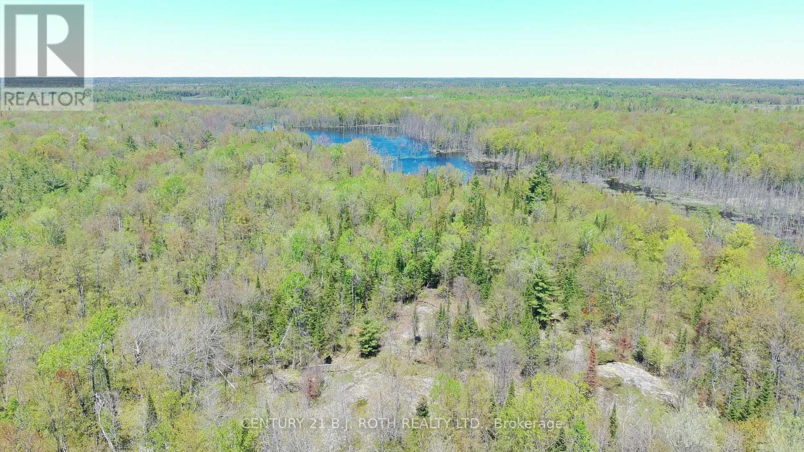 2444 Fairgrounds Road, Ramara, Ontario  L0K 2B0 - Photo 15 - S13230882