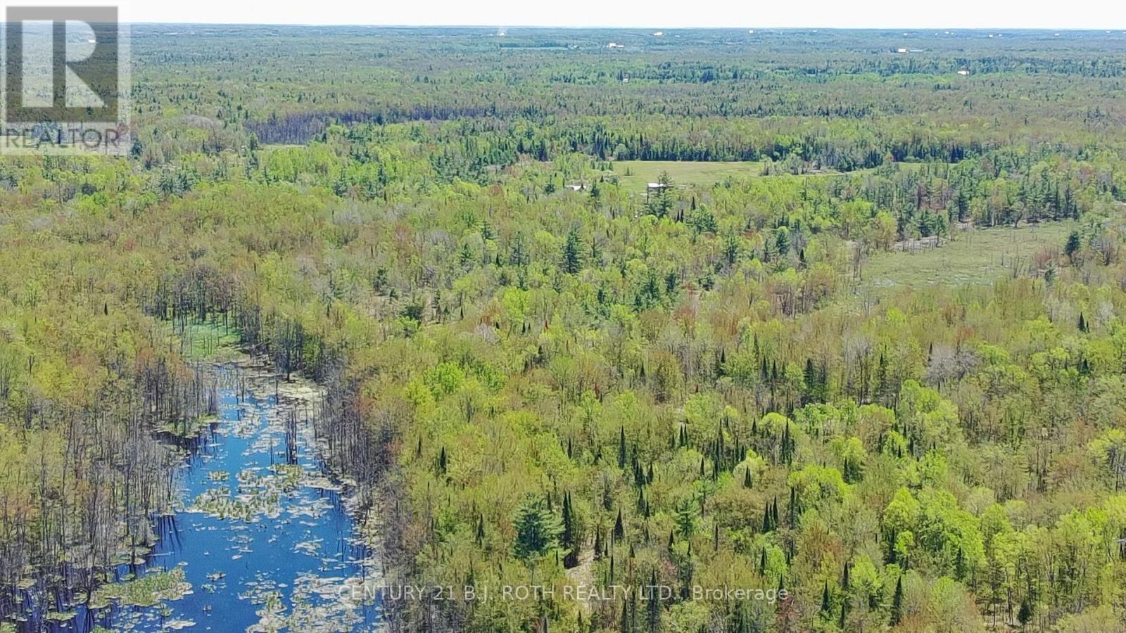 2444 Fairgrounds Road, Ramara, Ontario  L0K 2B0 - Photo 19 - S13230882