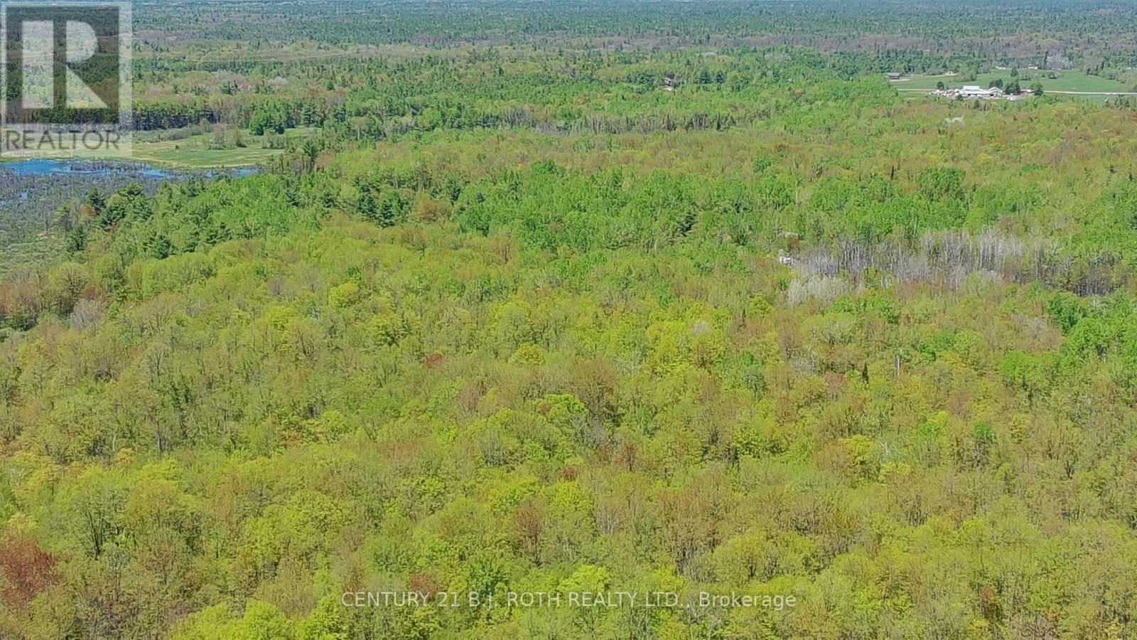 2444 Fairgrounds Road, Ramara, Ontario  L0K 2B0 - Photo 31 - S13230882