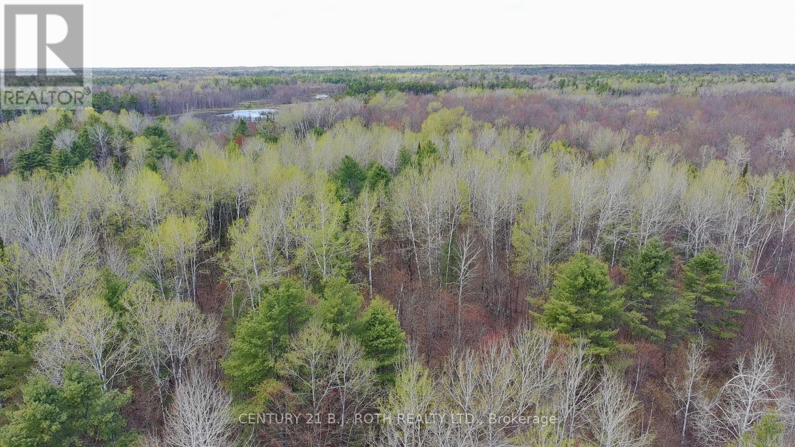 2444 Fairgrounds Road, Ramara, Ontario  L0K 2B0 - Photo 4 - S13230882