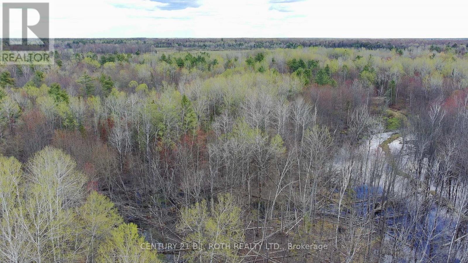 2444 Fairgrounds Road, Ramara, Ontario  L0K 2B0 - Photo 5 - S13230882