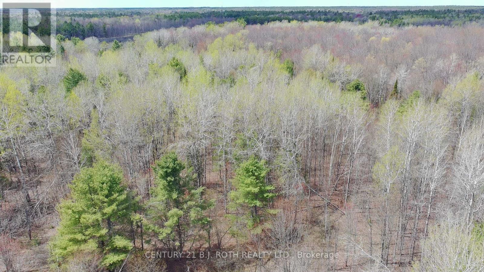 2444 Fairgrounds Road, Ramara, Ontario  L0K 2B0 - Photo 6 - S13230882