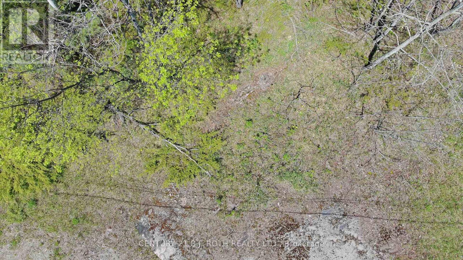 2444 Fairgrounds Road, Ramara, Ontario  L0K 2B0 - Photo 7 - S13230882