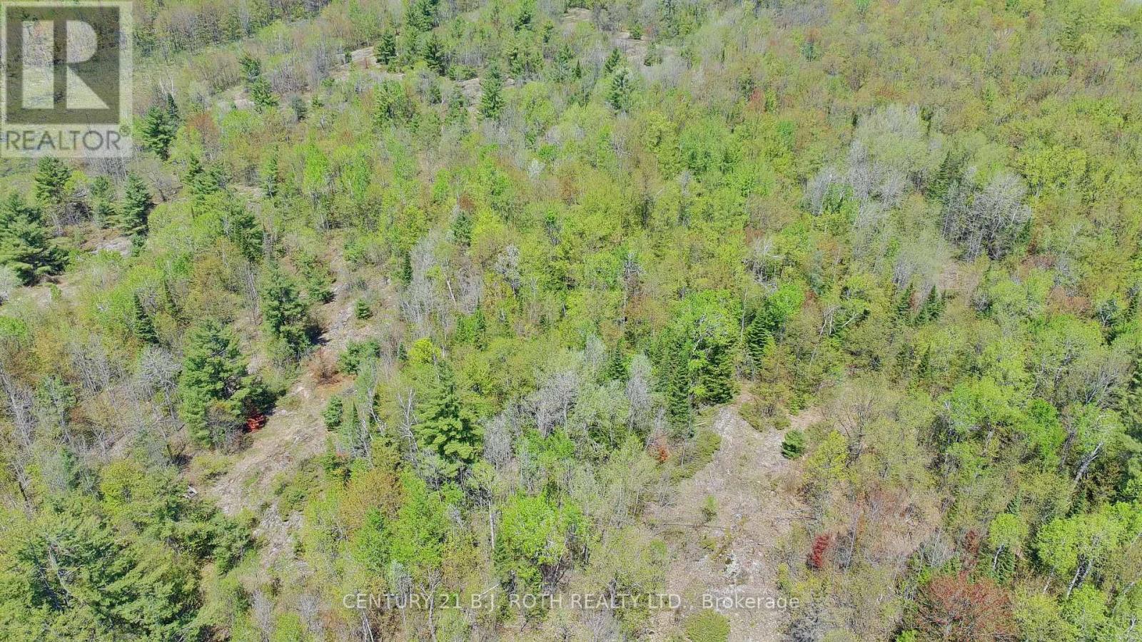 2444 Fairgrounds Road, Ramara, Ontario  L0K 2B0 - Photo 9 - S13230882