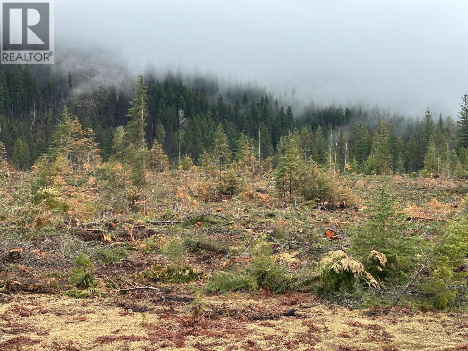 Lot C Lancaster Road, Winlaw, British Columbia  V0G 2J0 - Photo 2 - 10389940