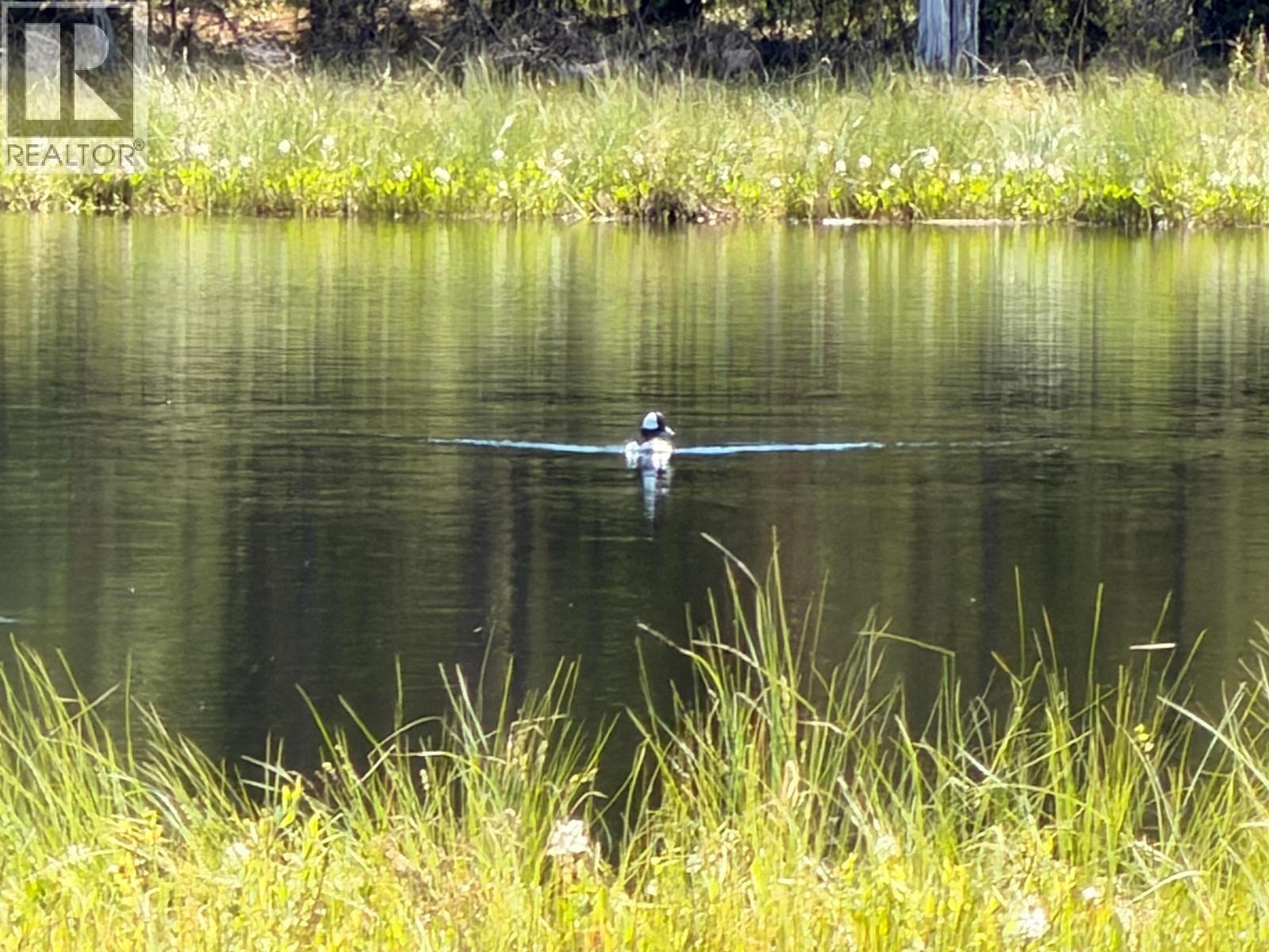 Dl11479 Spout Lake Road, Lac La Hache, British Columbia  V0K 1T0 - Photo 13 - R3131347