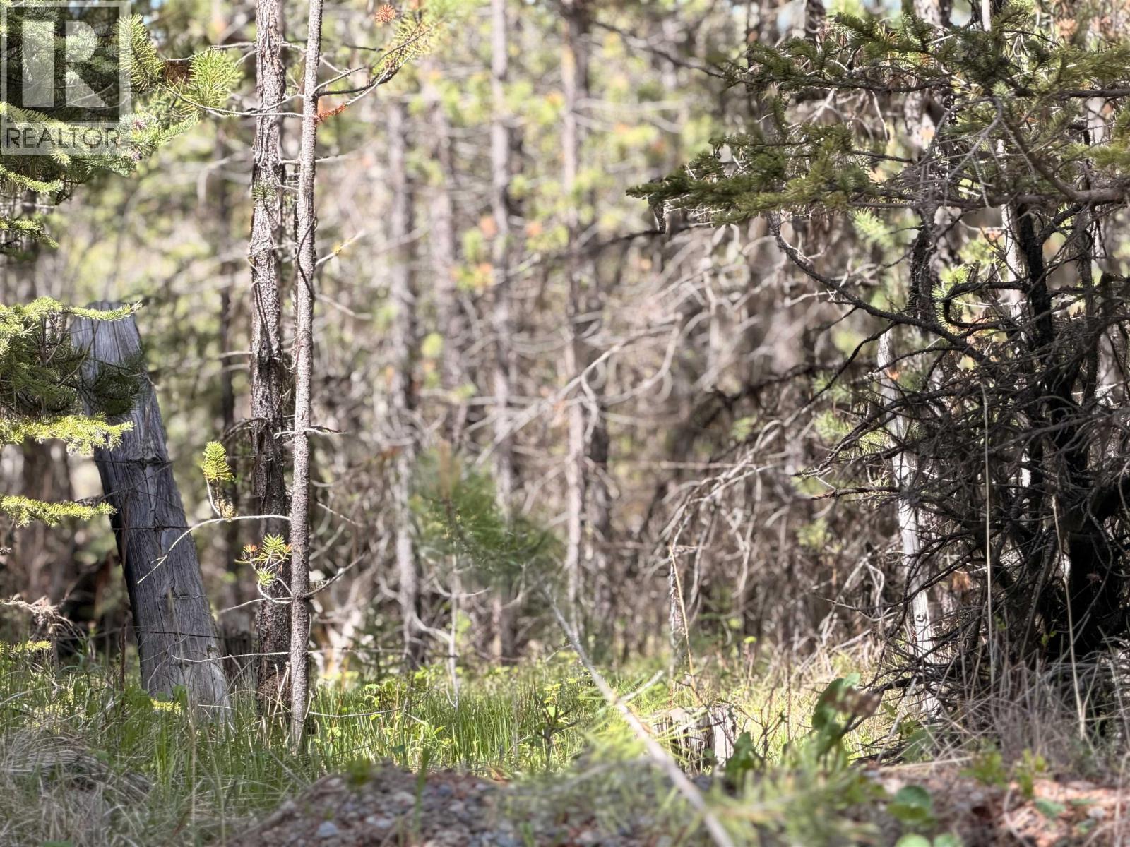 Dl11479 Spout Lake Road, Lac La Hache, British Columbia  V0K 1T0 - Photo 7 - R3131347