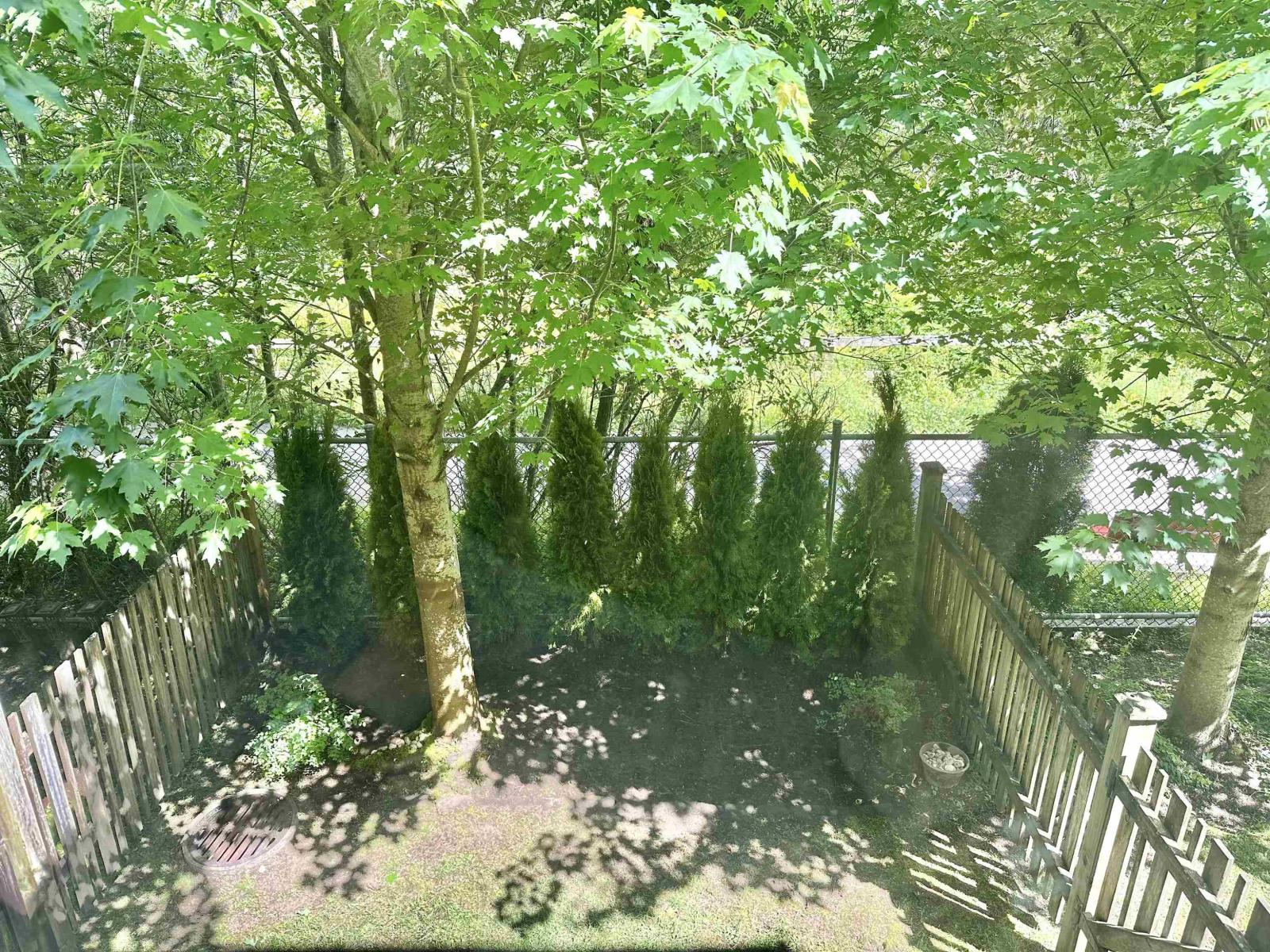 Listing image 24