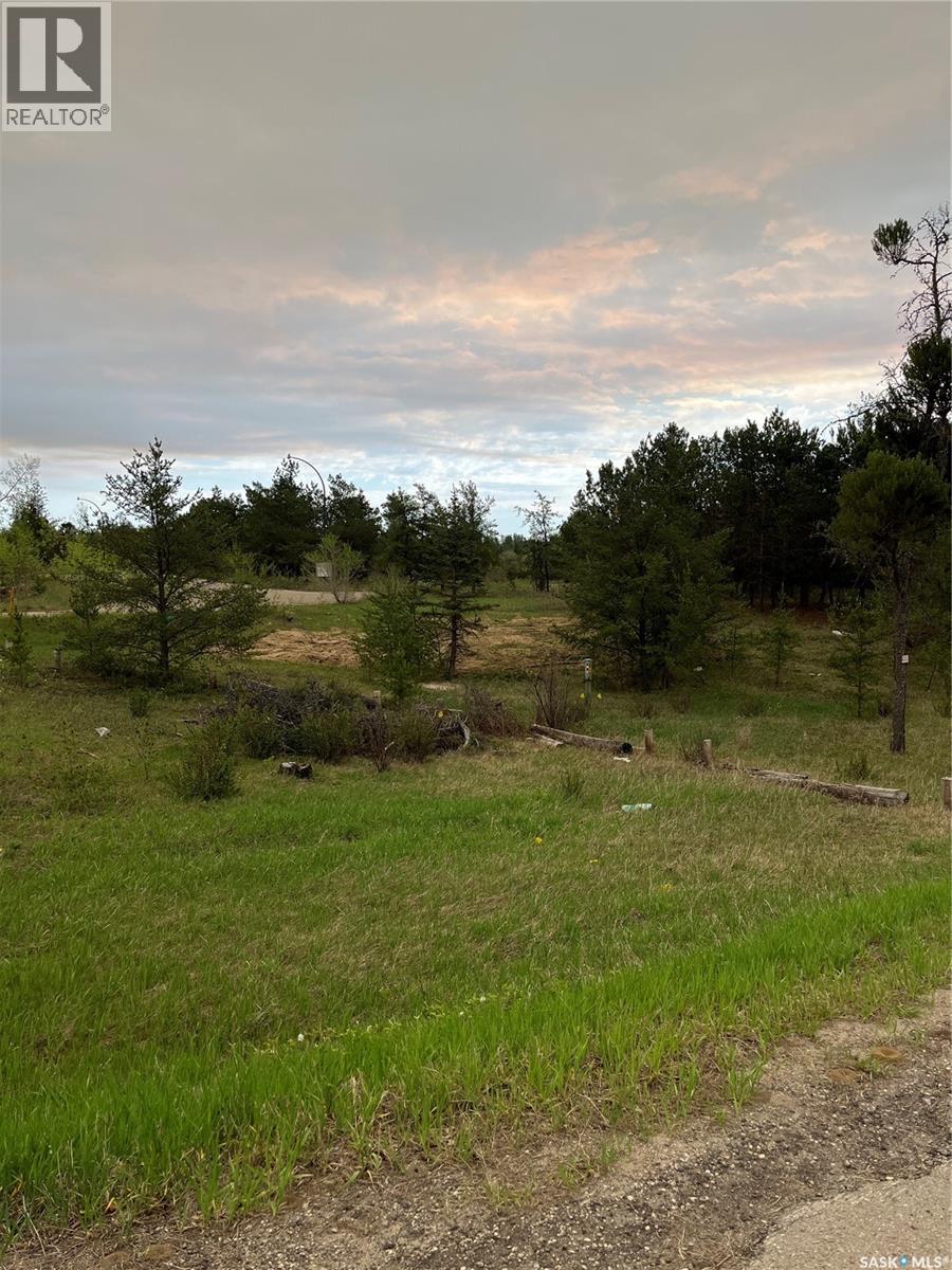 Hwy 2 North, Prince Albert, Saskatchewan  S6V 5R3 - Photo 1 - SK038019