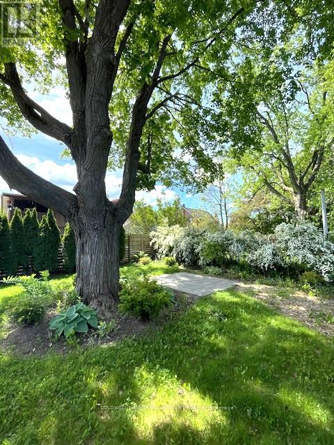 14 Laurine Avenue, Guelph, Ontario  N1E 4M9 - Photo 25 - X13013682