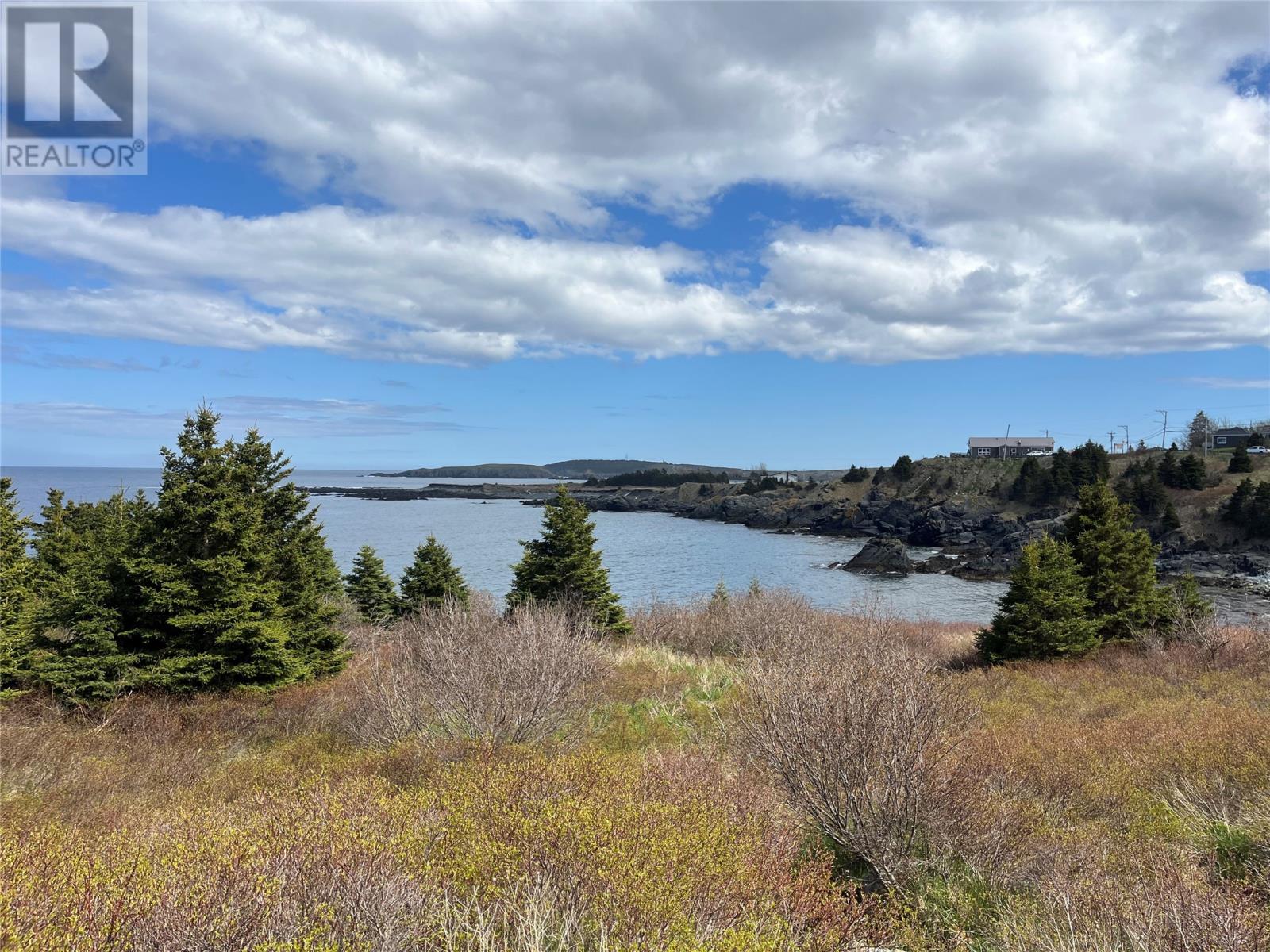 47 Bay Ridge Road, Ferryland, Newfoundland & Labrador  A0A 2H0 - Photo 12 - 1297043