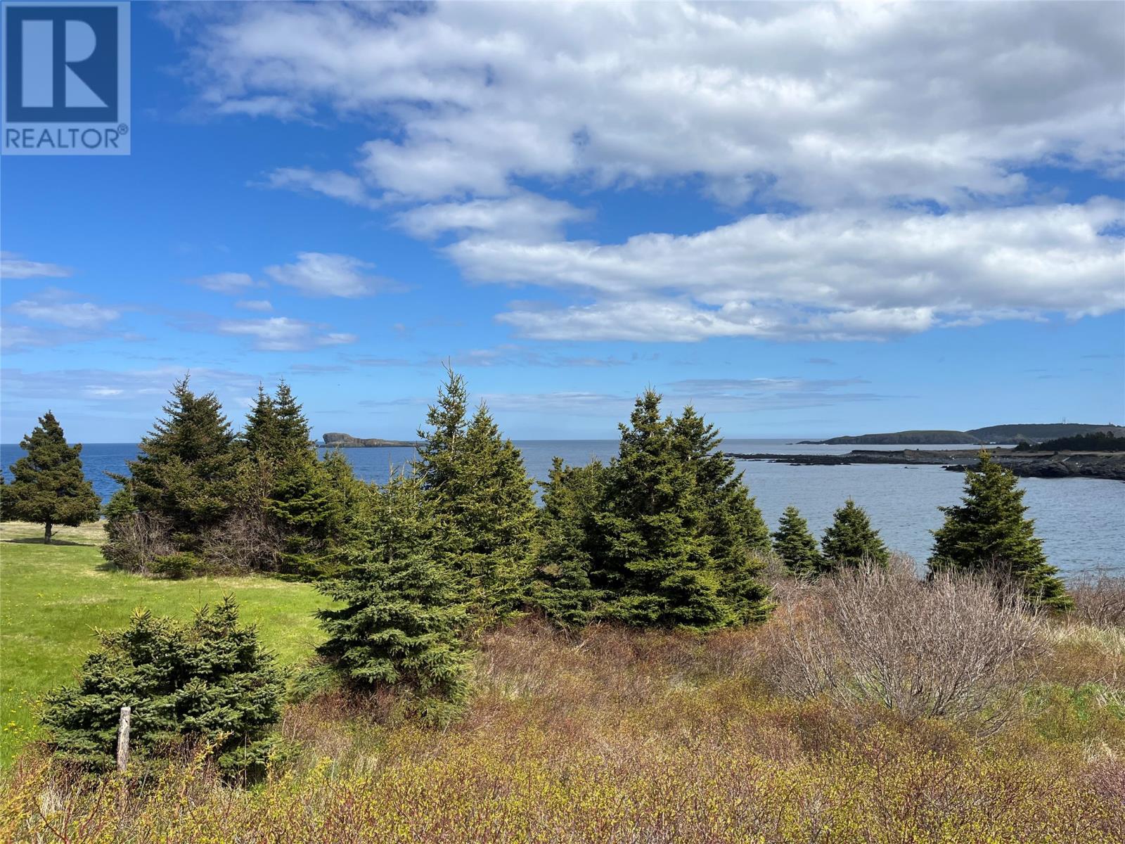 47 Bay Ridge Road, Ferryland, Newfoundland & Labrador  A0A 2H0 - Photo 10 - 1297043