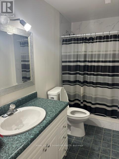 Lower - 1063 Blairholm Avenue, Mississauga, Ontario  L5C 3C9 - Photo 5 - W13166830