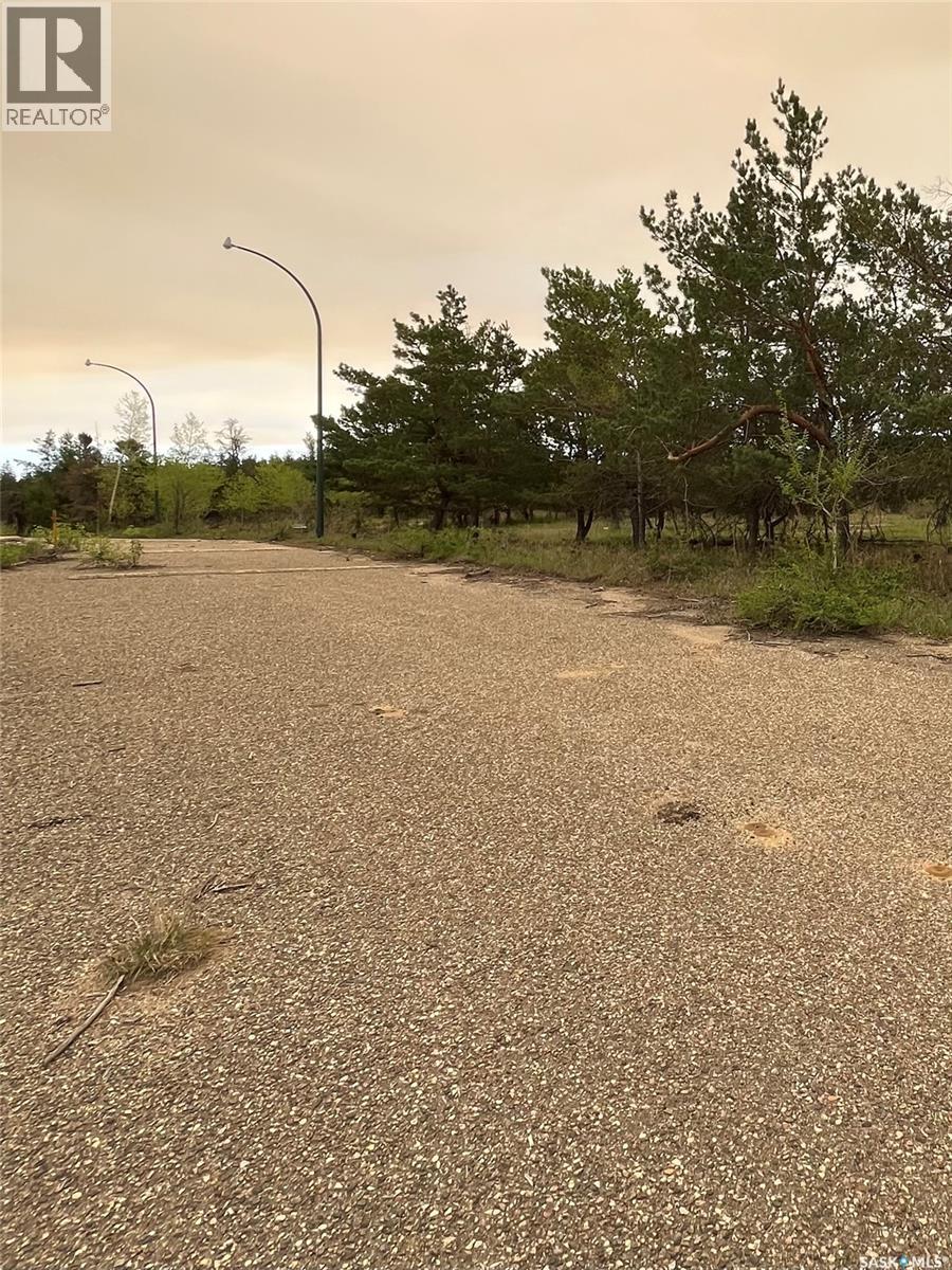 Nisbet Industrial Park, Buckland Rm No. 491, Saskatchewan  S6V 5R3 - Photo 3 - SK038029