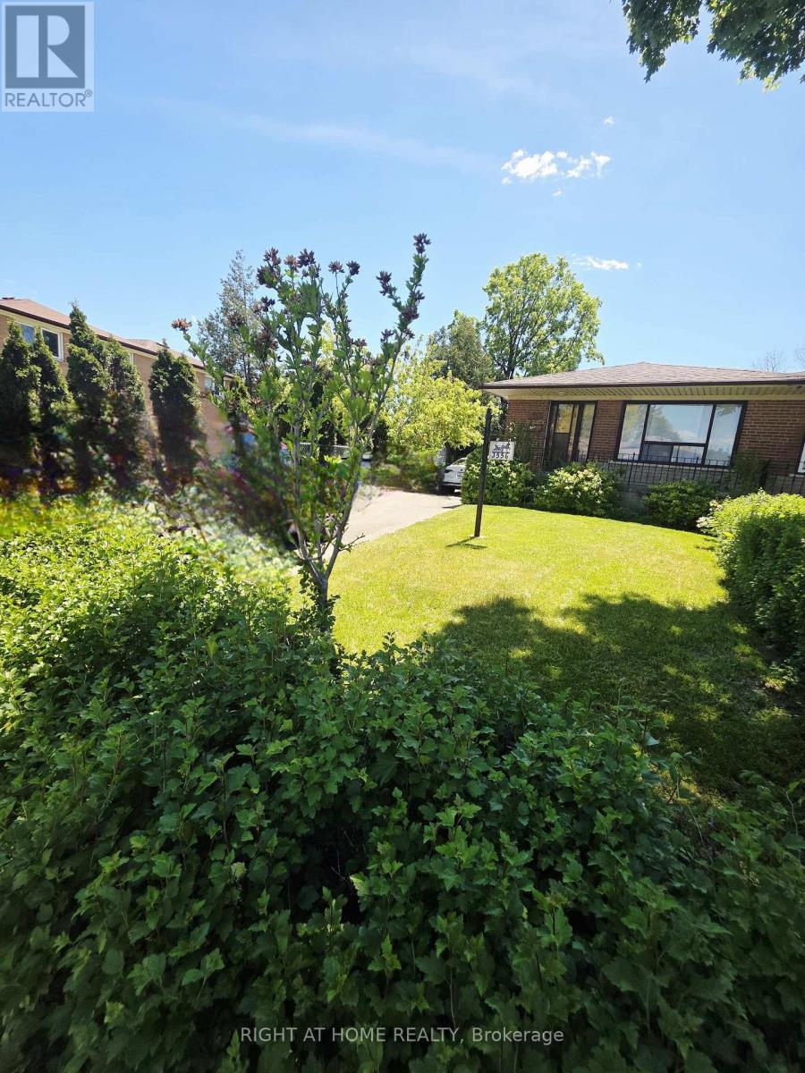 3556 Monica Drive, Mississauga, Ontario  L4T 2E5 - Photo 4 - W13231374