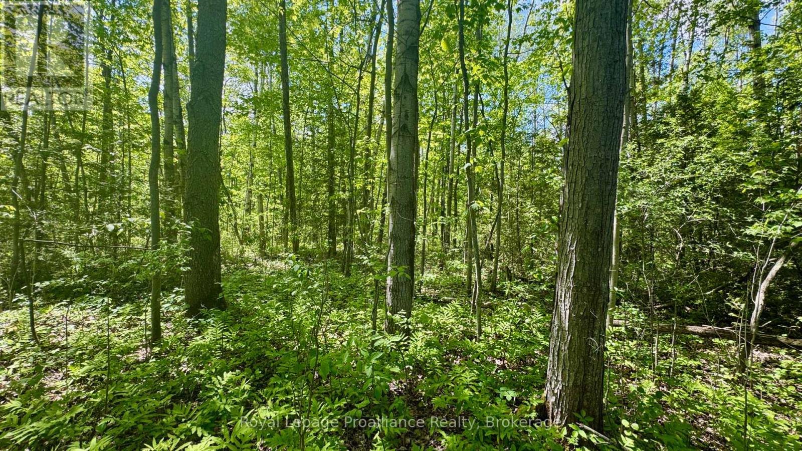 0 Teal Road, Quinte West, Ontario  K0K 3M0 - Photo 4 - X13213580