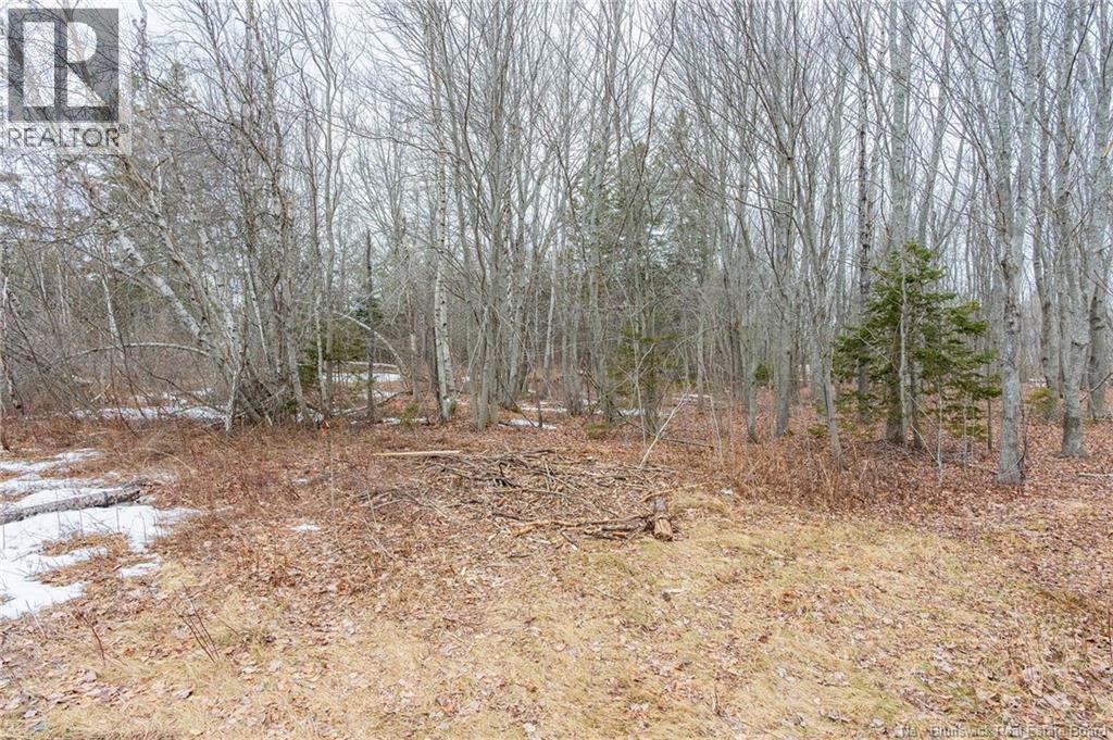 Lot 75-6 Petite Riviere, Aldouane, New Brunswick  E4W 5C1 - Photo 13 - NB135450