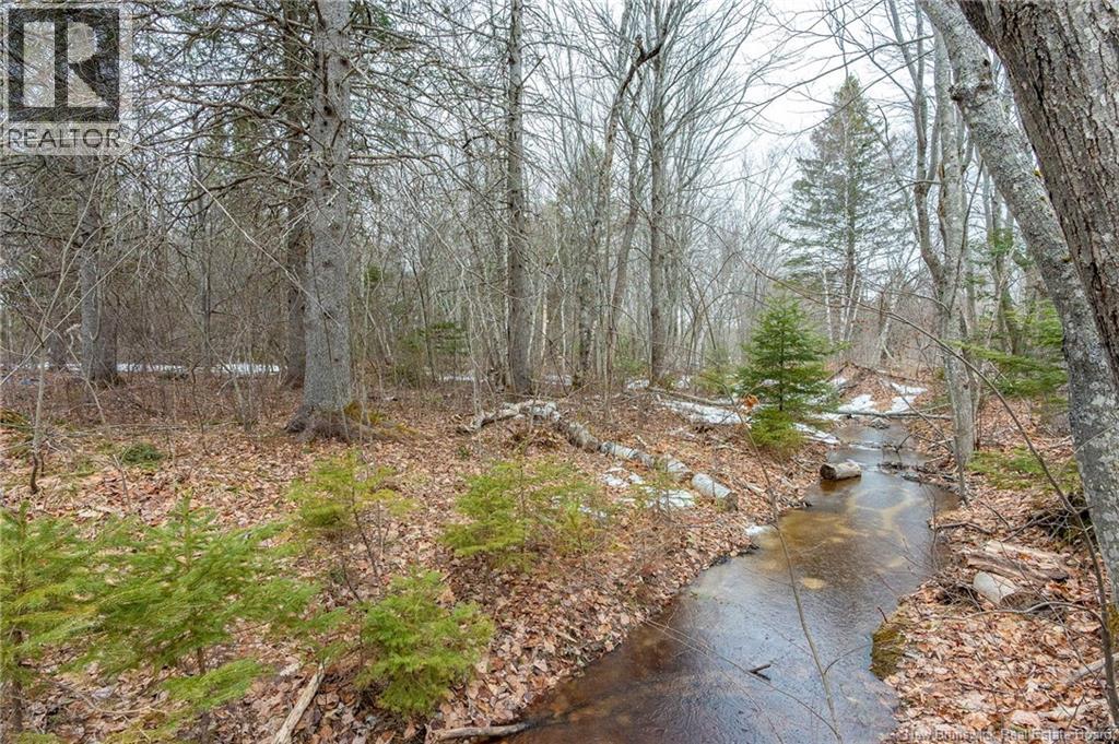 Lot 75-6 Petite Riviere, Aldouane, New Brunswick  E4W 5C1 - Photo 25 - NB135450