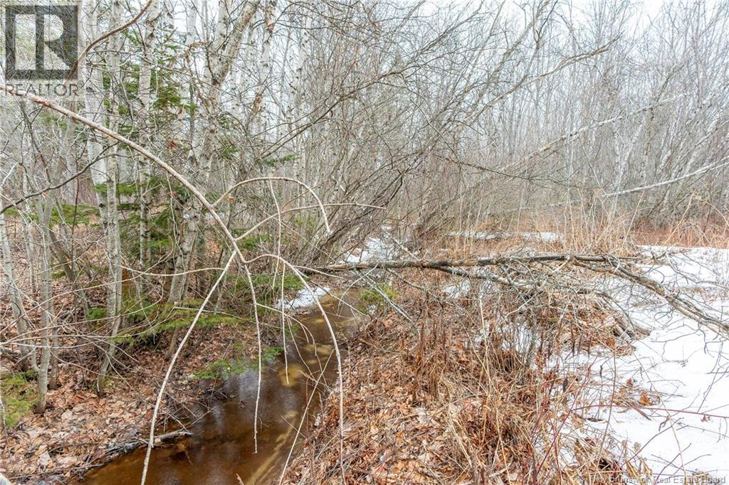 Lot 75-6 Petite Riviere, Aldouane, New Brunswick  E4W 5C1 - Photo 20 - NB135450
