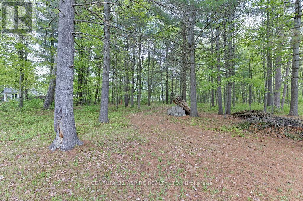 2889 Petawawa Boulevard, Petawawa, Ontario  K8H 1Y1 - Photo 42 - X13213568