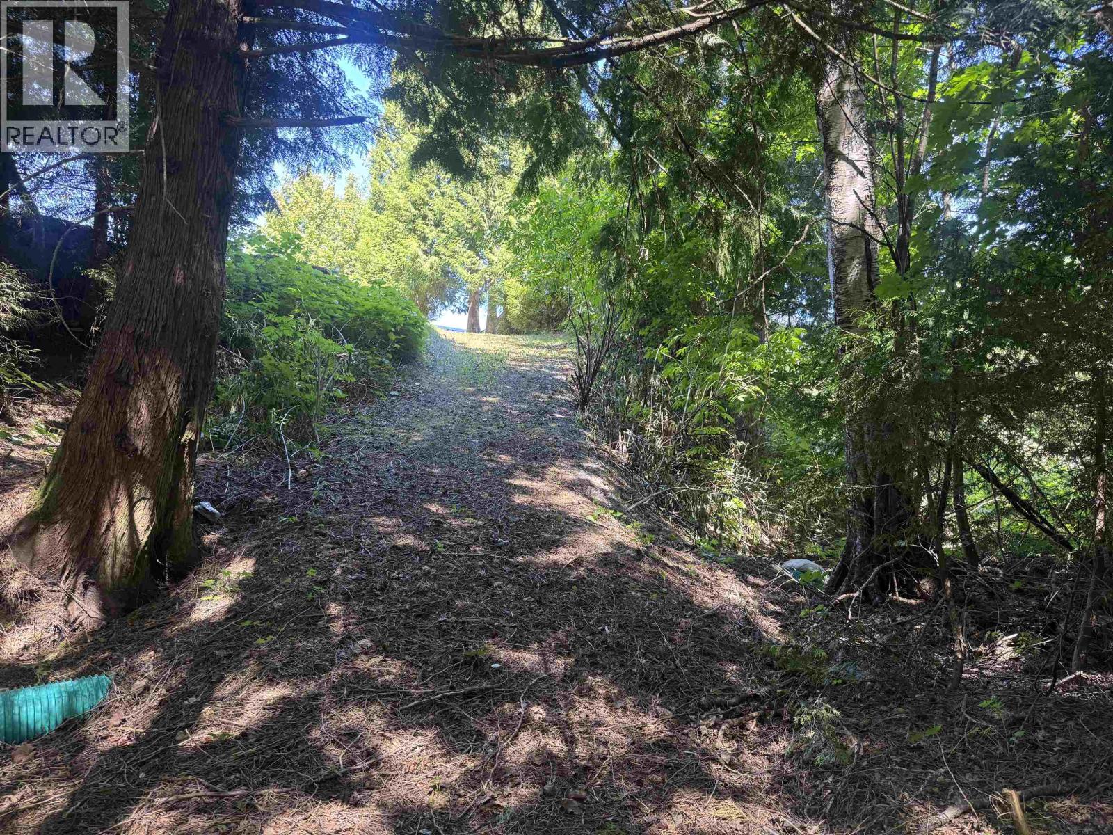 5025 Agar Avenue, Terrace, British Columbia  V8G 1H9 - Photo 9 - R3131277