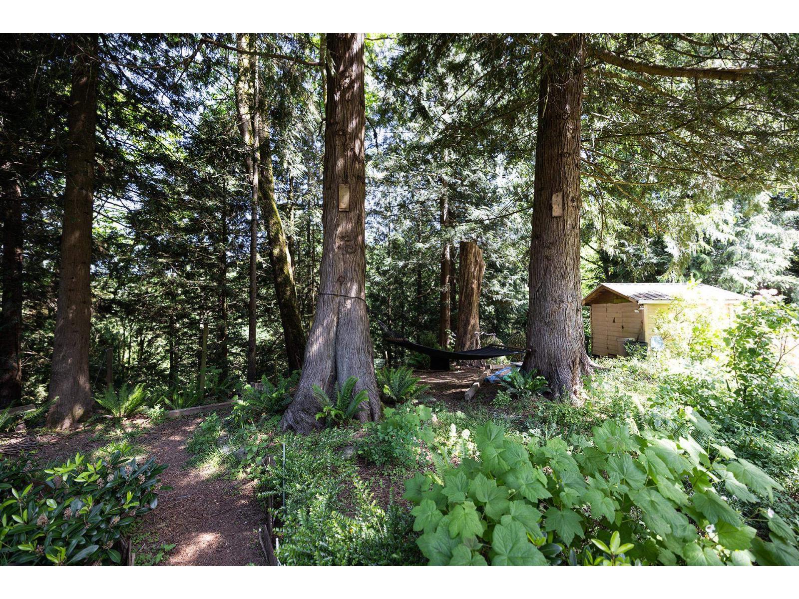 4144 Belanger Drive, Abbotsford, British Columbia  V3G 1K3 - Photo 36 - R3131295