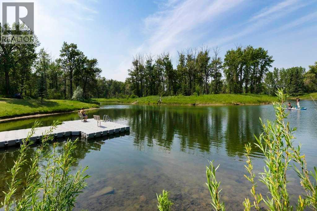 42 River Rock Green Se, Calgary, Alberta  T2C 4C2 - Photo 38 - A2311569