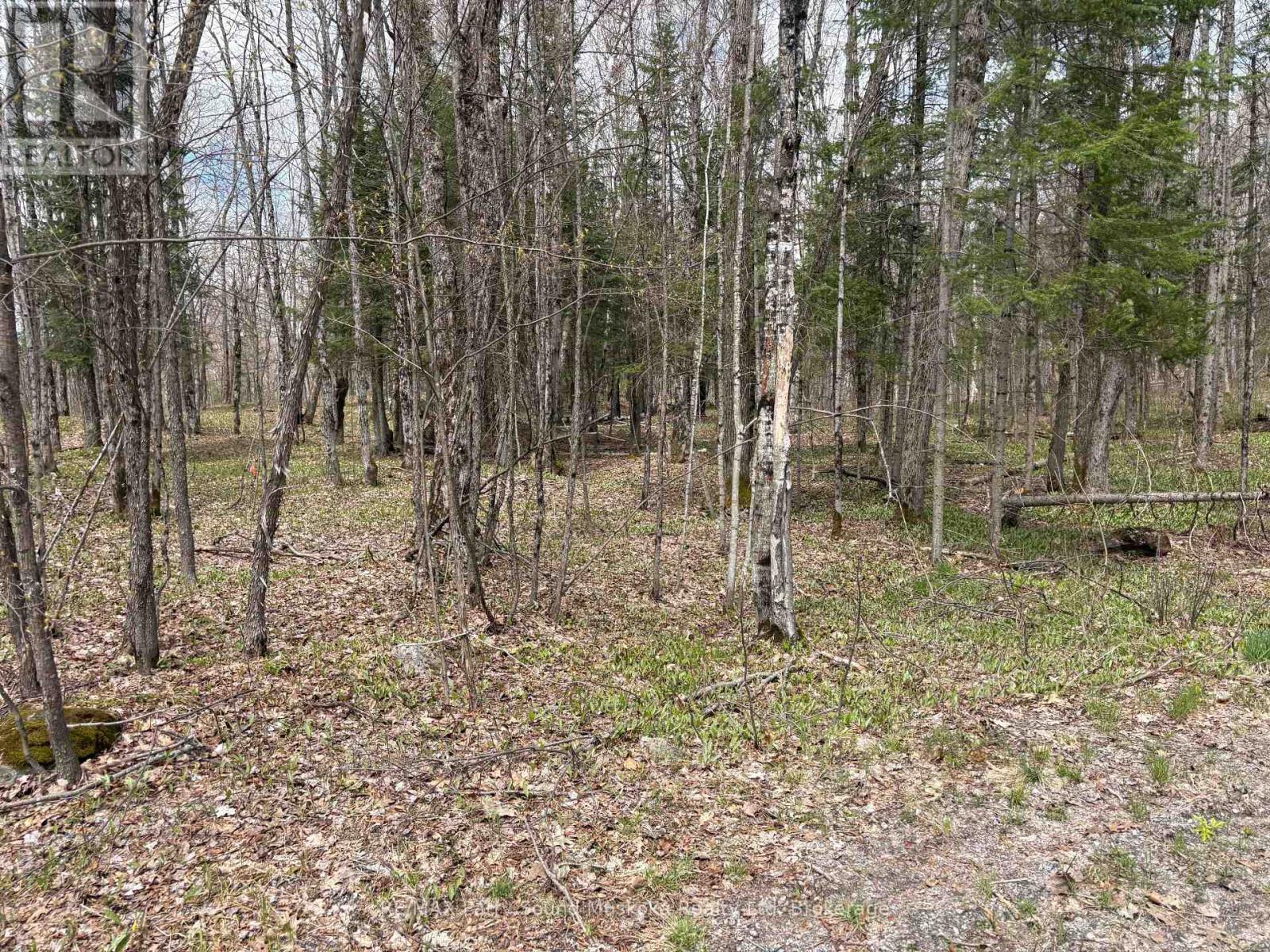 0 Dauncey Road, Magnetawan (Spence), Ontario  P0A 1P0 - Photo 1 - X13231862