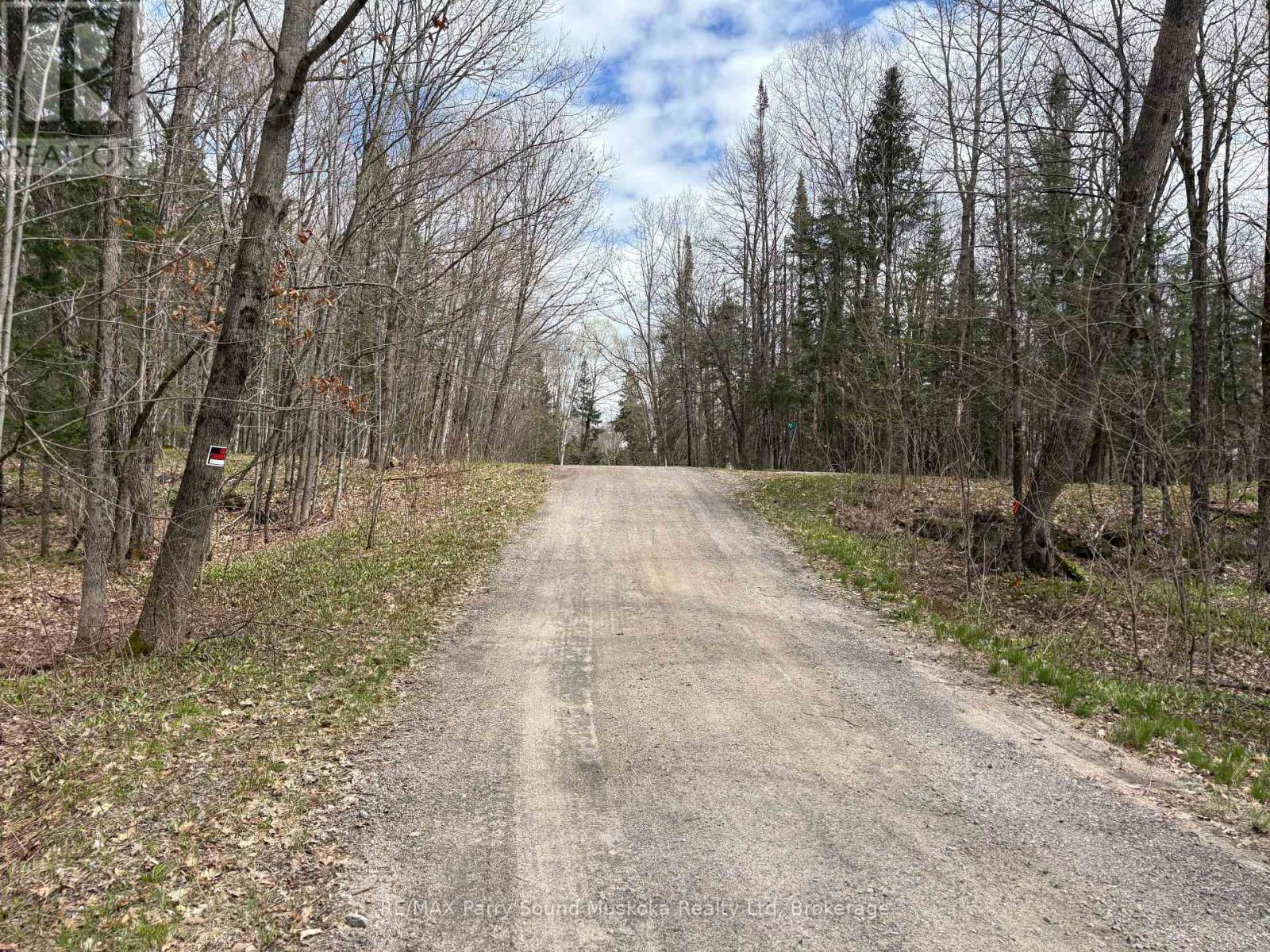 0 Dauncey Road, Magnetawan (Spence), Ontario  P0A 1P0 - Photo 4 - X13231862
