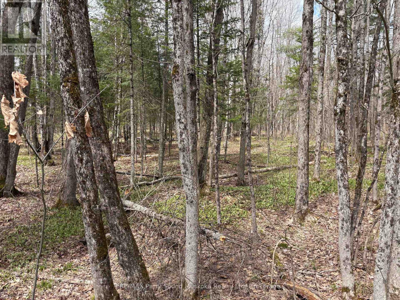 0 Dauncey Road, Magnetawan (Spence), Ontario  P0A 1P0 - Photo 6 - X13231862