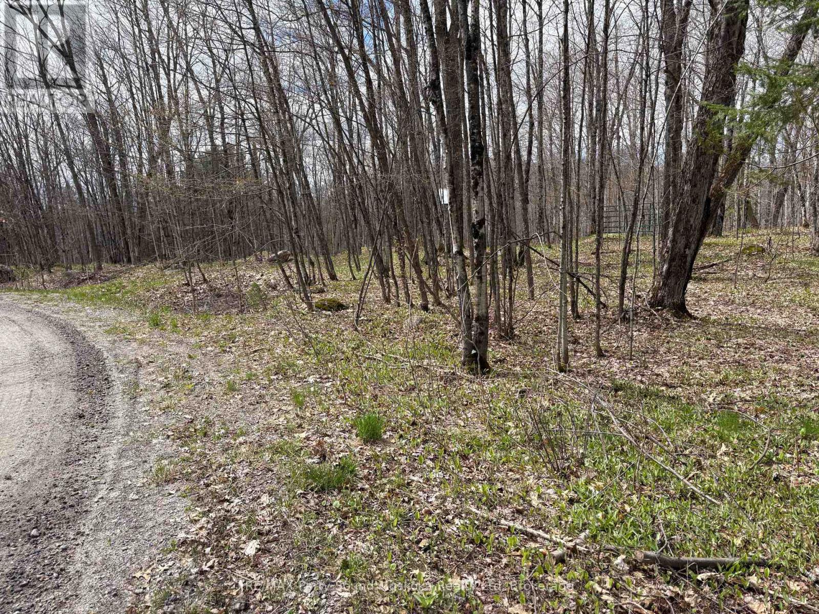 0 Dauncey Road, Magnetawan (Spence), Ontario  P0A 1P0 - Photo 7 - X13231862