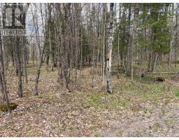 0 DAUNCEY ROAD, Magnetawan, Ontario