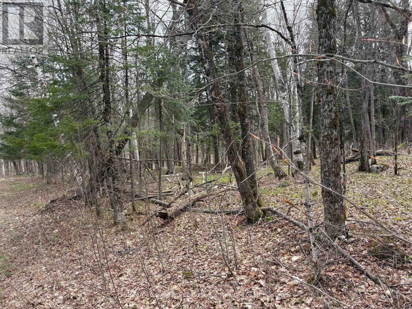0 Ahmic Lake Road, Magnetawan (Spence), Ontario  P0A 1P0 - Photo 1 - X13231888