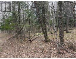 0 AHMIC LAKE ROAD, Magnetawan, Ontario
