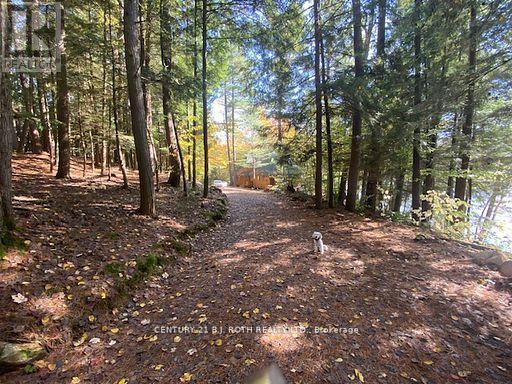 22 - 1213 Camp Jackson Road, Muskoka Lakes, Ontario  P0C 1A0 - Photo 33 - X13231970
