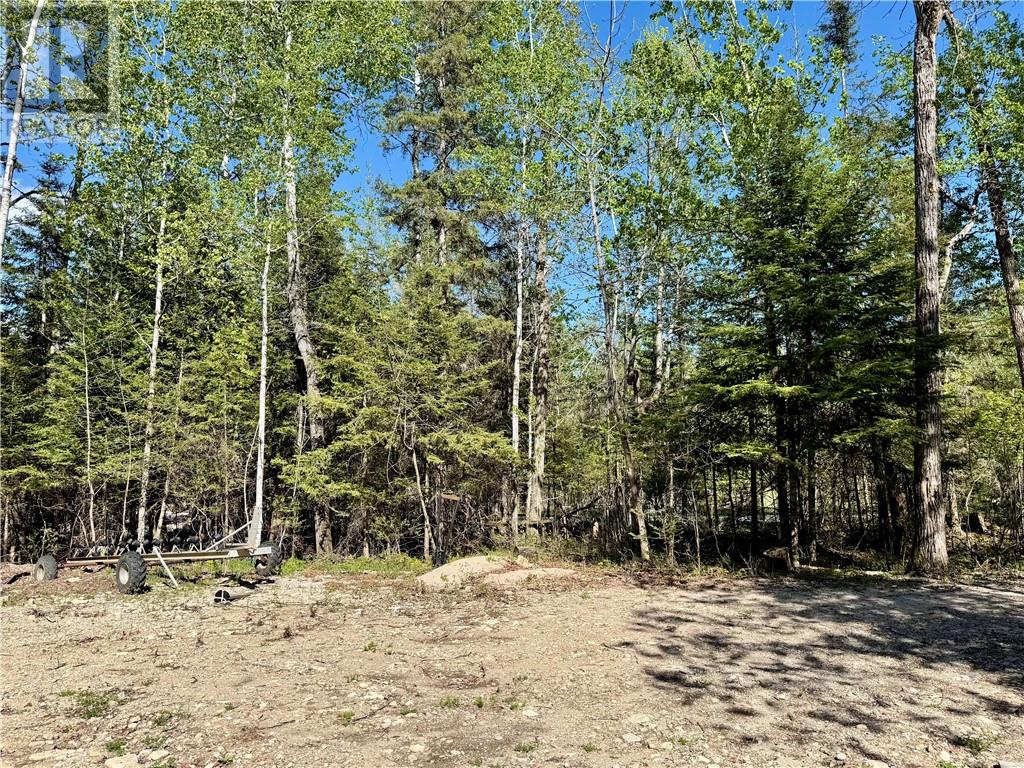 4 Oak Drive, Kagawong, Ontario  P0P 1J0 - Photo 8 - 2128193