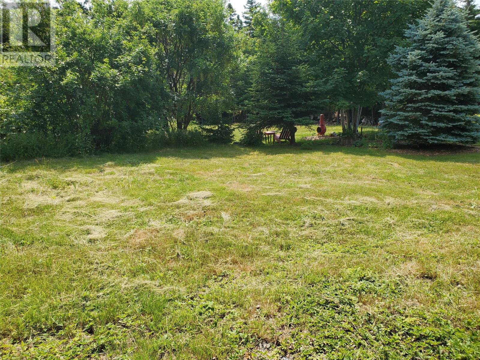 Photo 46