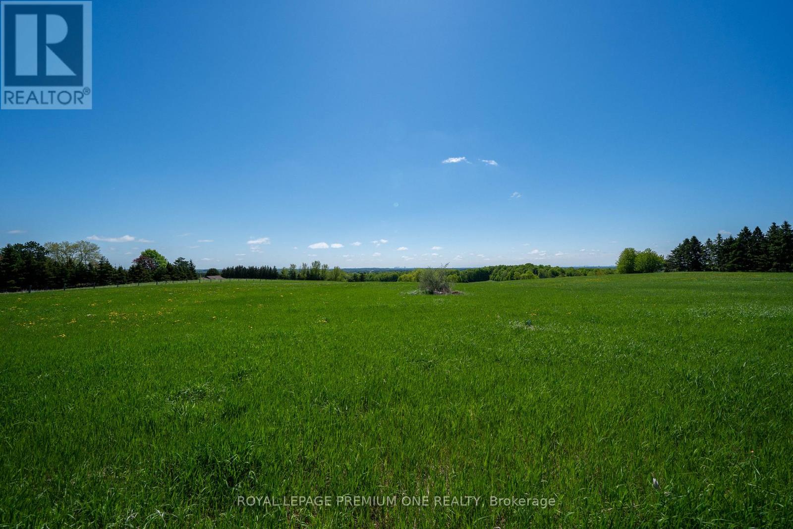 10375 Old Church Road, Caledon, Ontario  L7E 0R2 - Photo 11 - W13232062