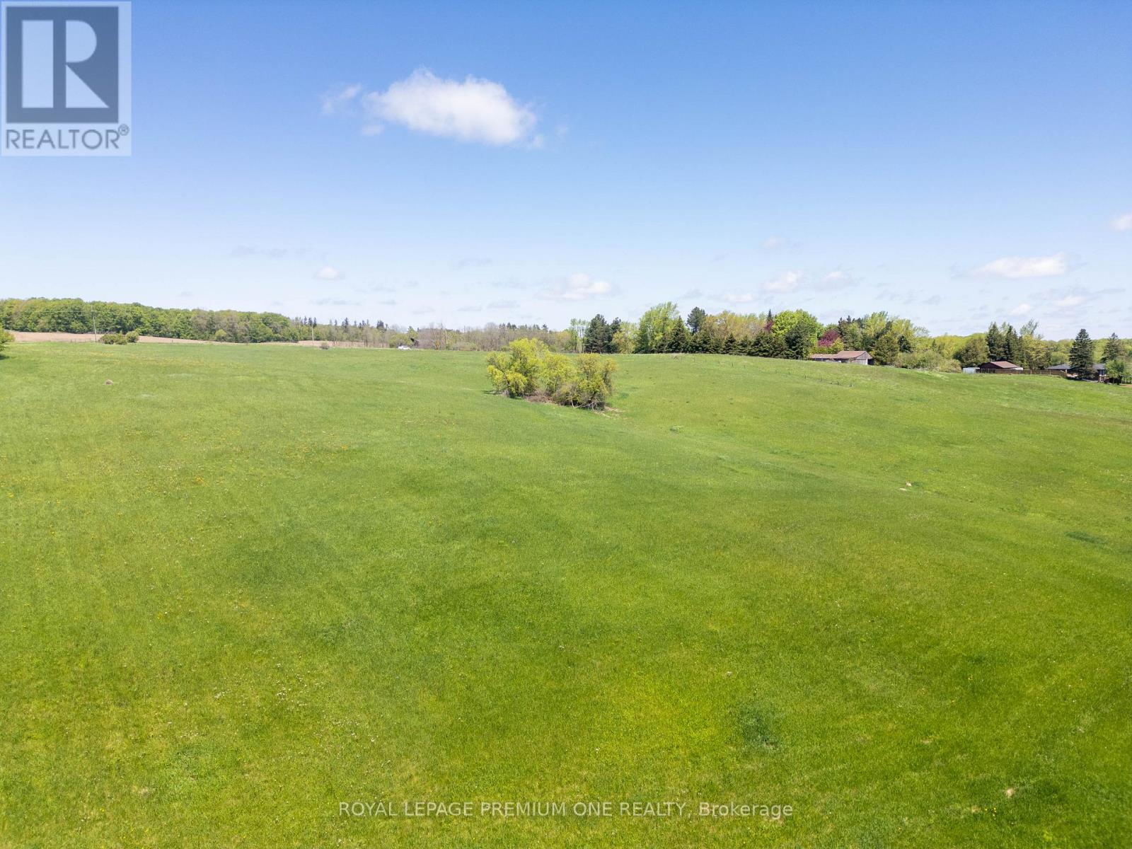 10375 Old Church Road, Caledon, Ontario  L7E 0R2 - Photo 12 - W13232062