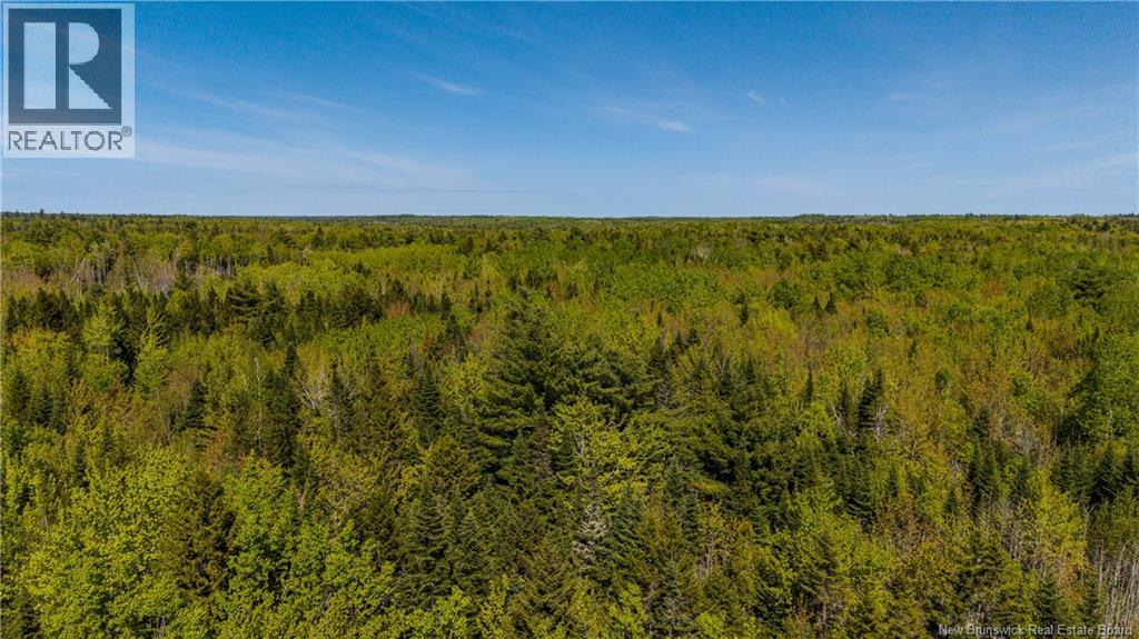 Lot 20-1 Route 525, Saint-Antoine, New Brunswick  E4V 3A1 - Photo 20 - NB140870
