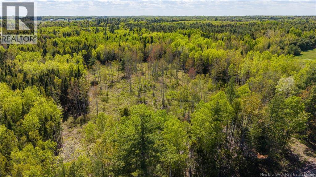 Lot 20-1 Route 525, Saint-Antoine, New Brunswick  E4V 3A1 - Photo 7 - NB140870
