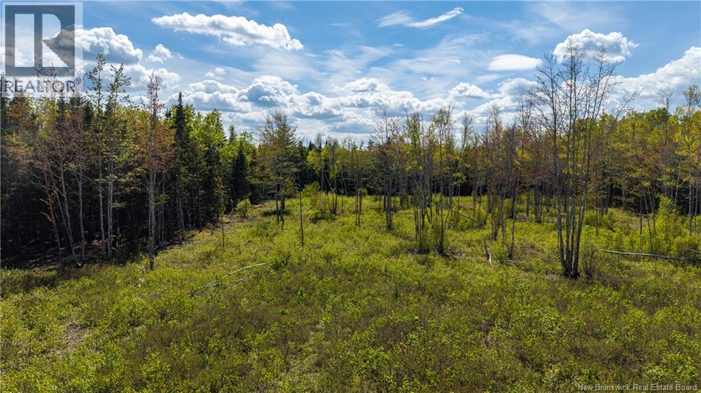 Lot 20-1 Route 525, Saint-Antoine, New Brunswick  E4V 3A1 - Photo 11 - NB140870