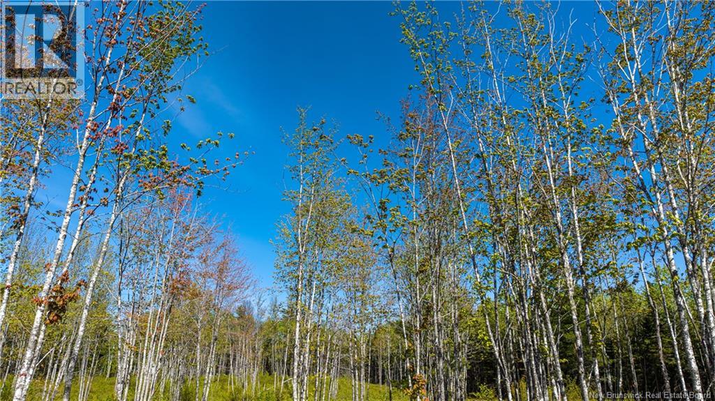 Lot 20-1 Route 525, Saint-Antoine, New Brunswick  E4V 3A1 - Photo 12 - NB140870