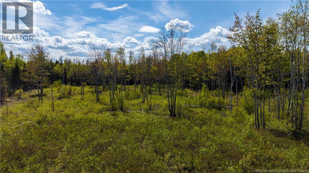 Lot 20-1 Route 525, Saint-Antoine, New Brunswick  E4V 3A1 - Photo 13 - NB140870