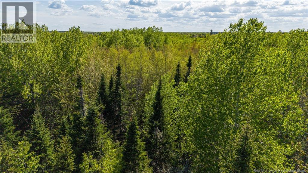 Lot 20-1 Route 525, Saint-Antoine, New Brunswick  E4V 3A1 - Photo 16 - NB140870