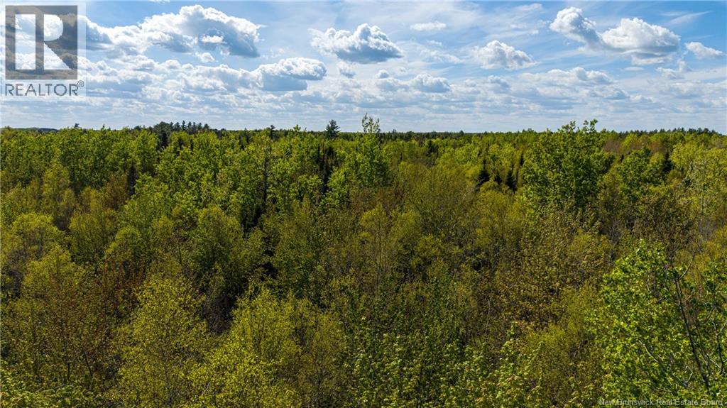 Lot 20-1 Route 525, Saint-Antoine, New Brunswick  E4V 3A1 - Photo 22 - NB140870