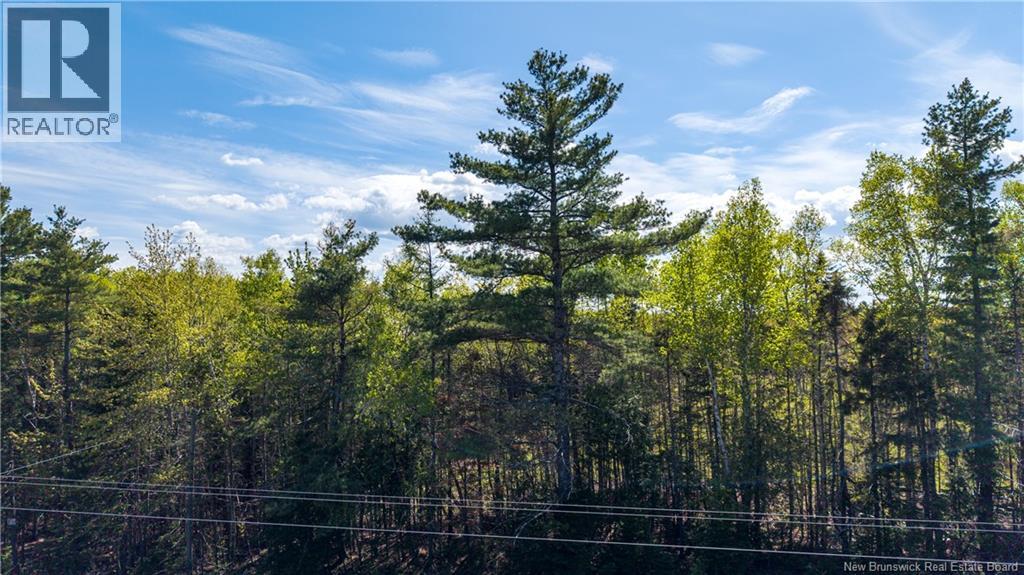 Lot 20-1 Route 525, Saint-Antoine, New Brunswick  E4V 3A1 - Photo 5 - NB140870