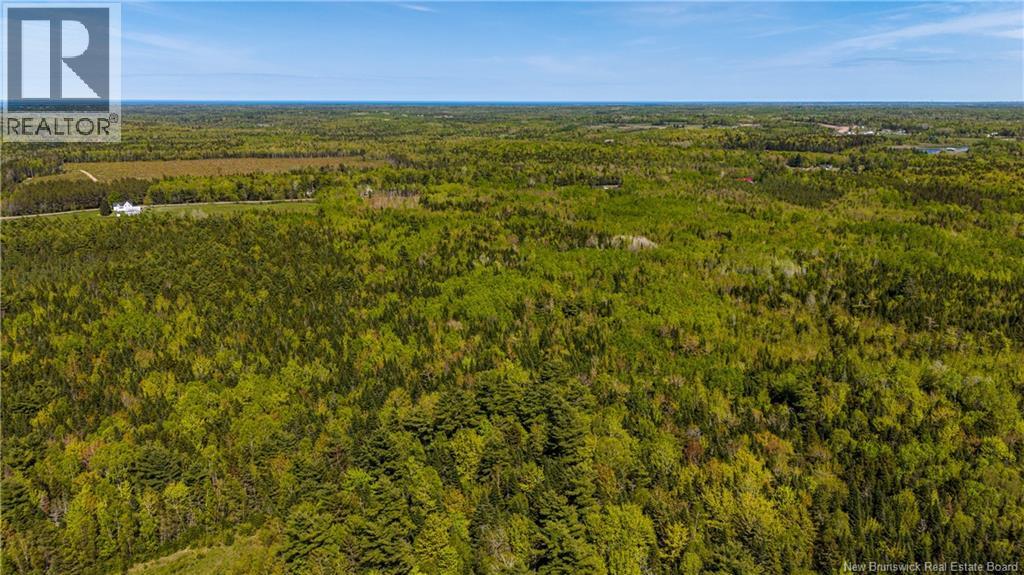 Lot 20-1 Route 525, Saint-Antoine, New Brunswick  E4V 3A1 - Photo 15 - NB140870