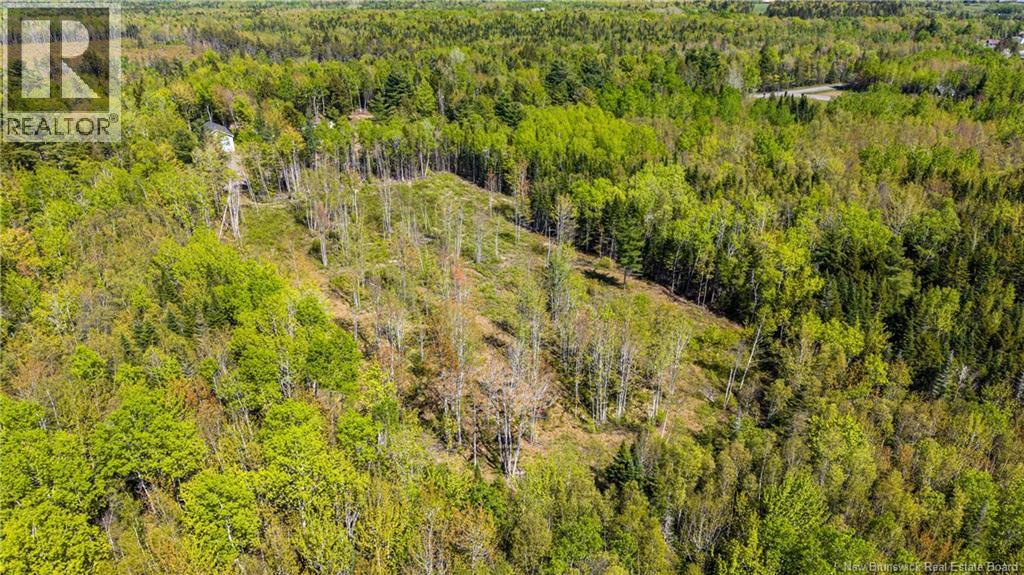 Lot 20-1 Route 525, Saint-Antoine, New Brunswick  E4V 3A1 - Photo 14 - NB140870
